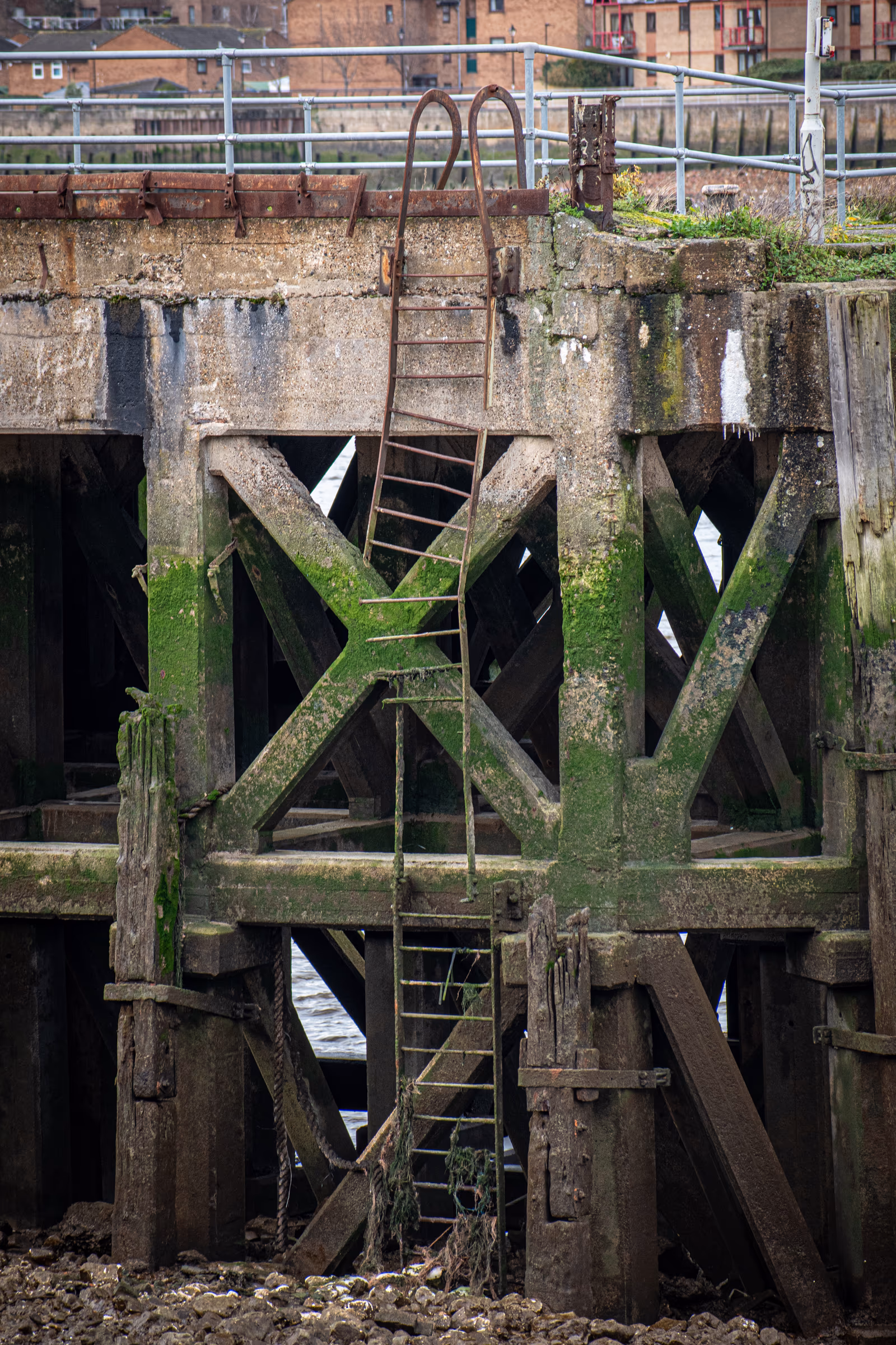 Pier Ladder