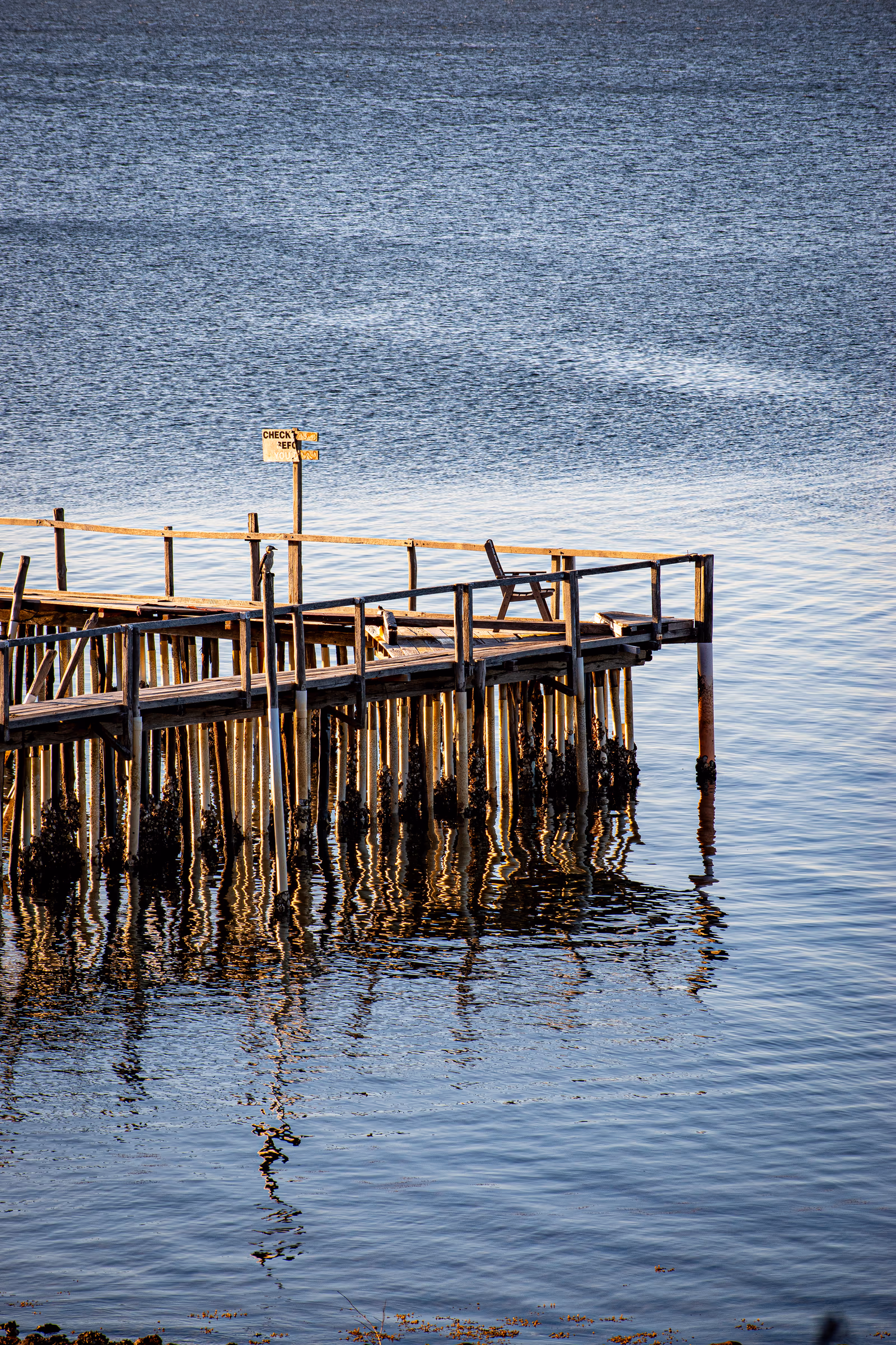 Quiet Jetty